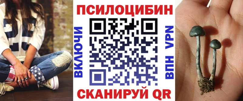 Псилоцибиновые грибы Magic Shrooms  закладки  Губкинский 